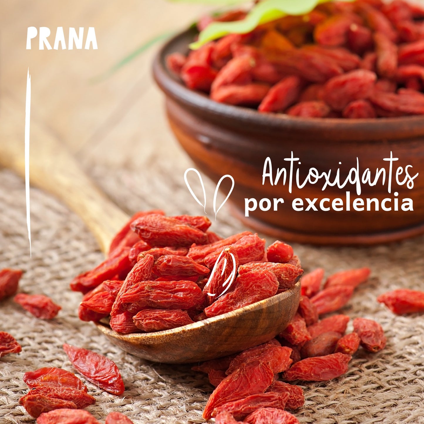 BAYAS DE GOJI ORGÁNICAS PRANA 150g
