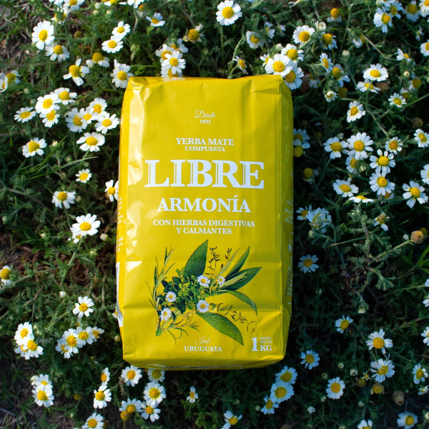 Foto de Yerba LIBRE Armonia sobre manzanilla