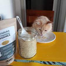 LEVADURA NUTRICIONAL ORGÁNICA PRANA 85g