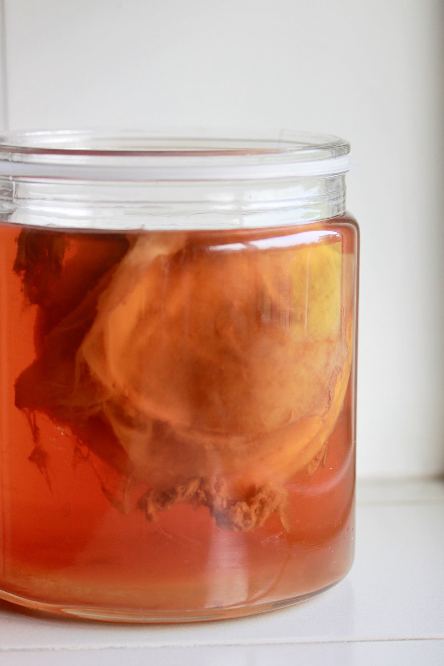 KOMBUCHA PRANA 330ml
