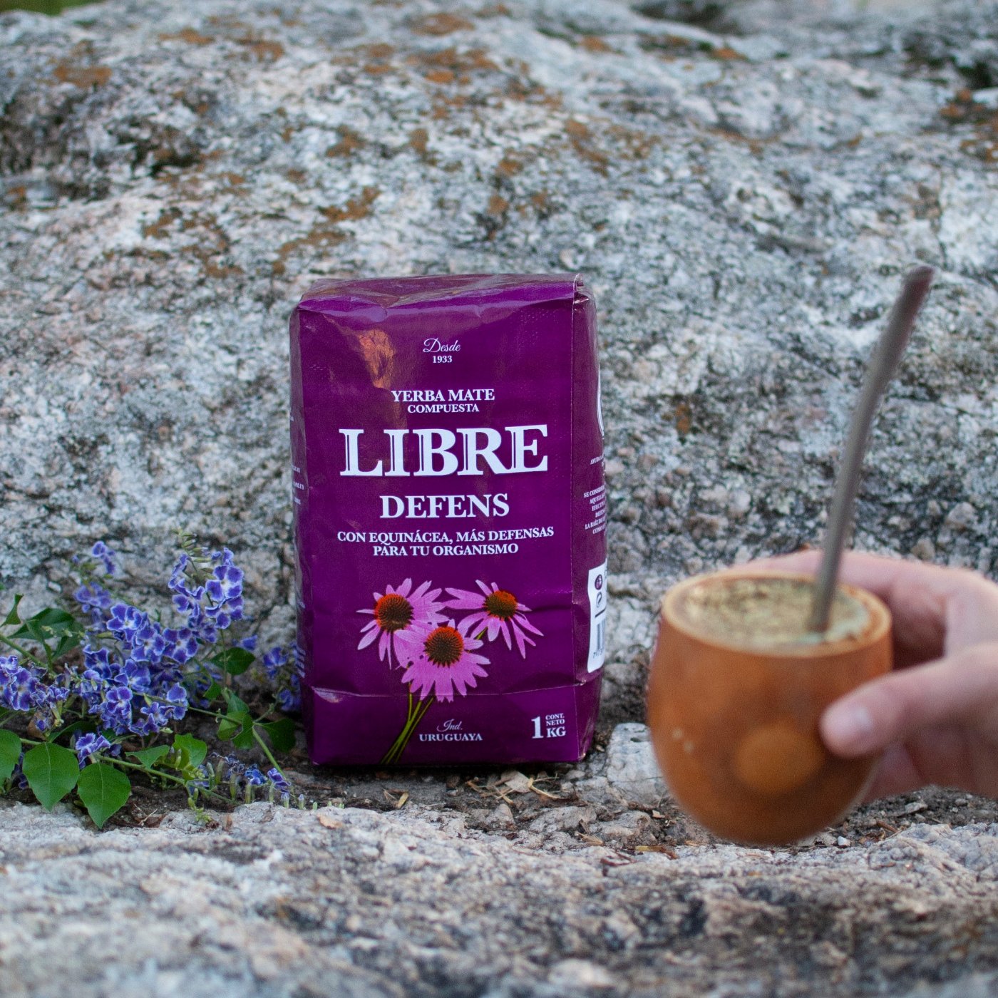 yerba LIBRE Defens sobre piedra conflores y mano con mate