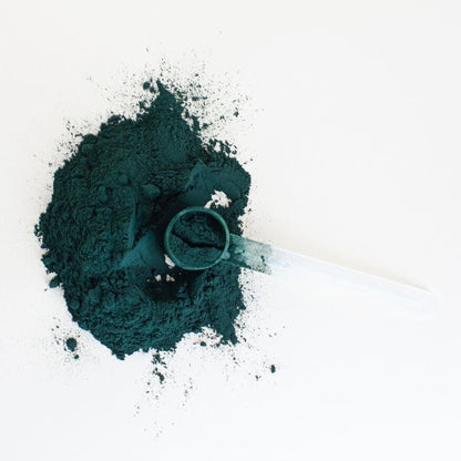 SPIRULINA ORGÁNICA PRANA 80g