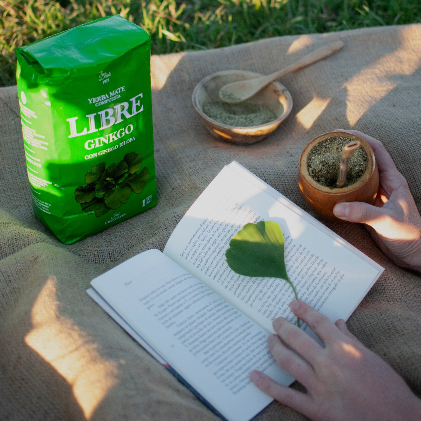 yerba LIBRE ginkgo manos libro mate manta pasto natural